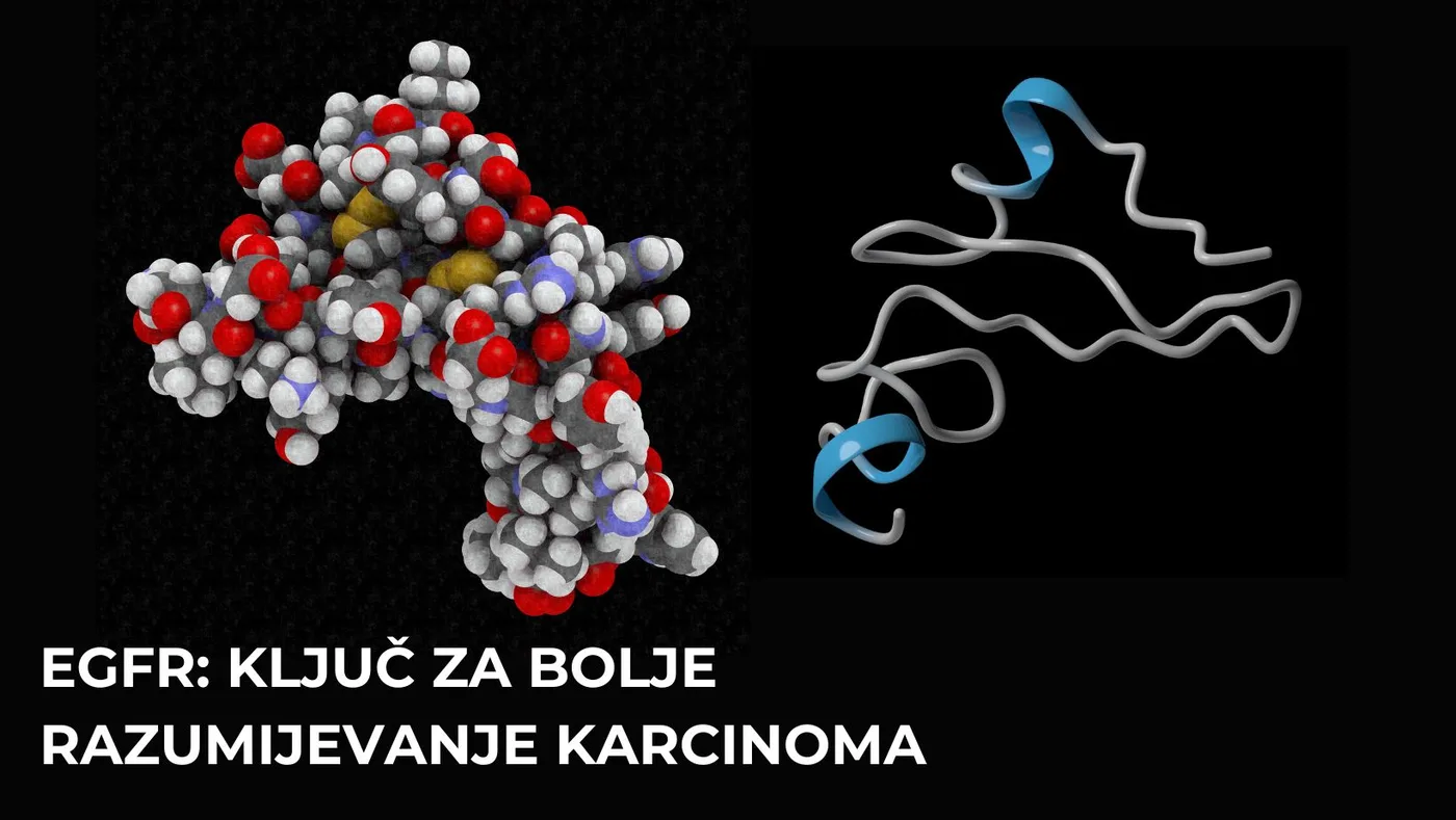 EGFR: Ključ za bolje razumijevanje karcinoma