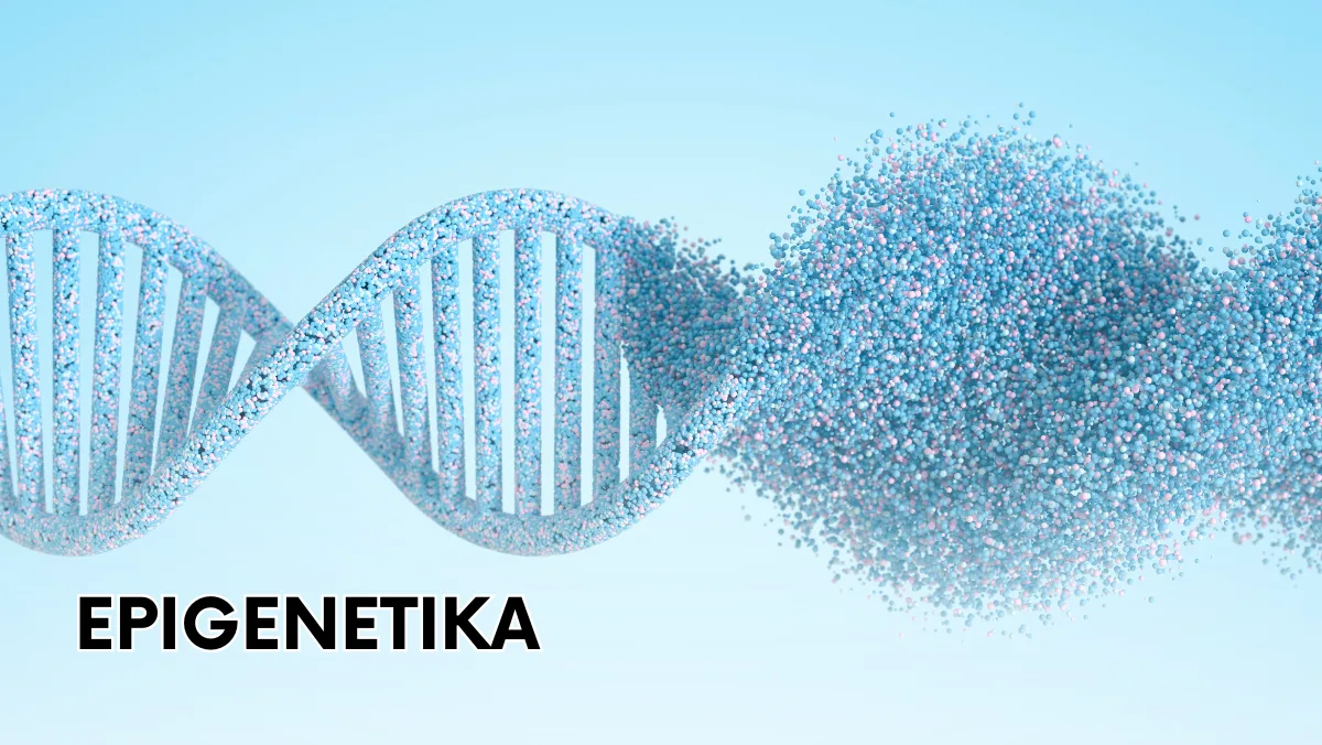 Epigenetika