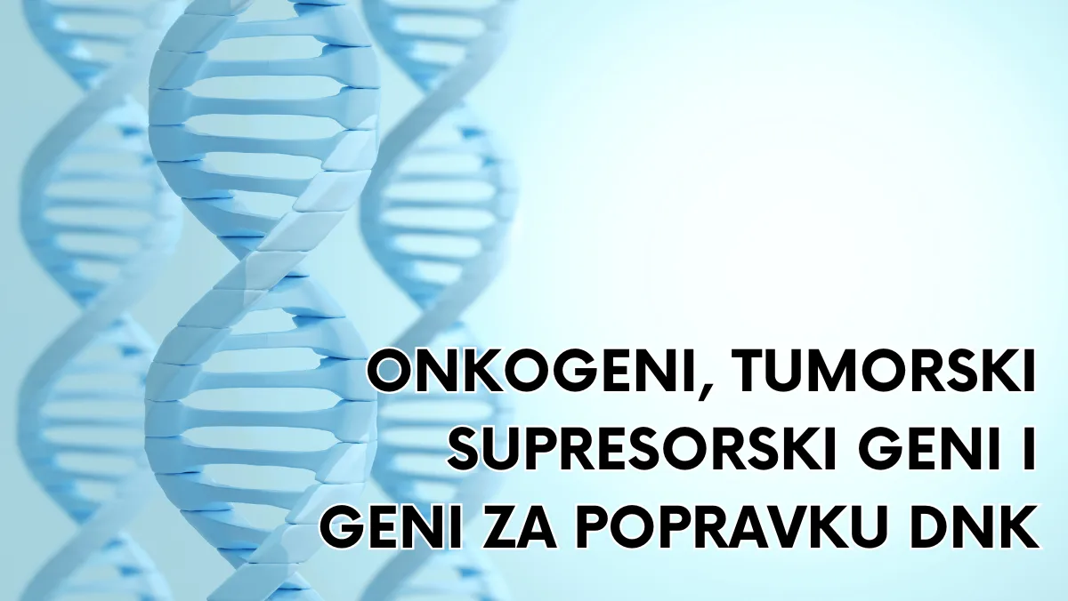 Onkogeni, tumorski supresorski geni i geni za popravku DNK